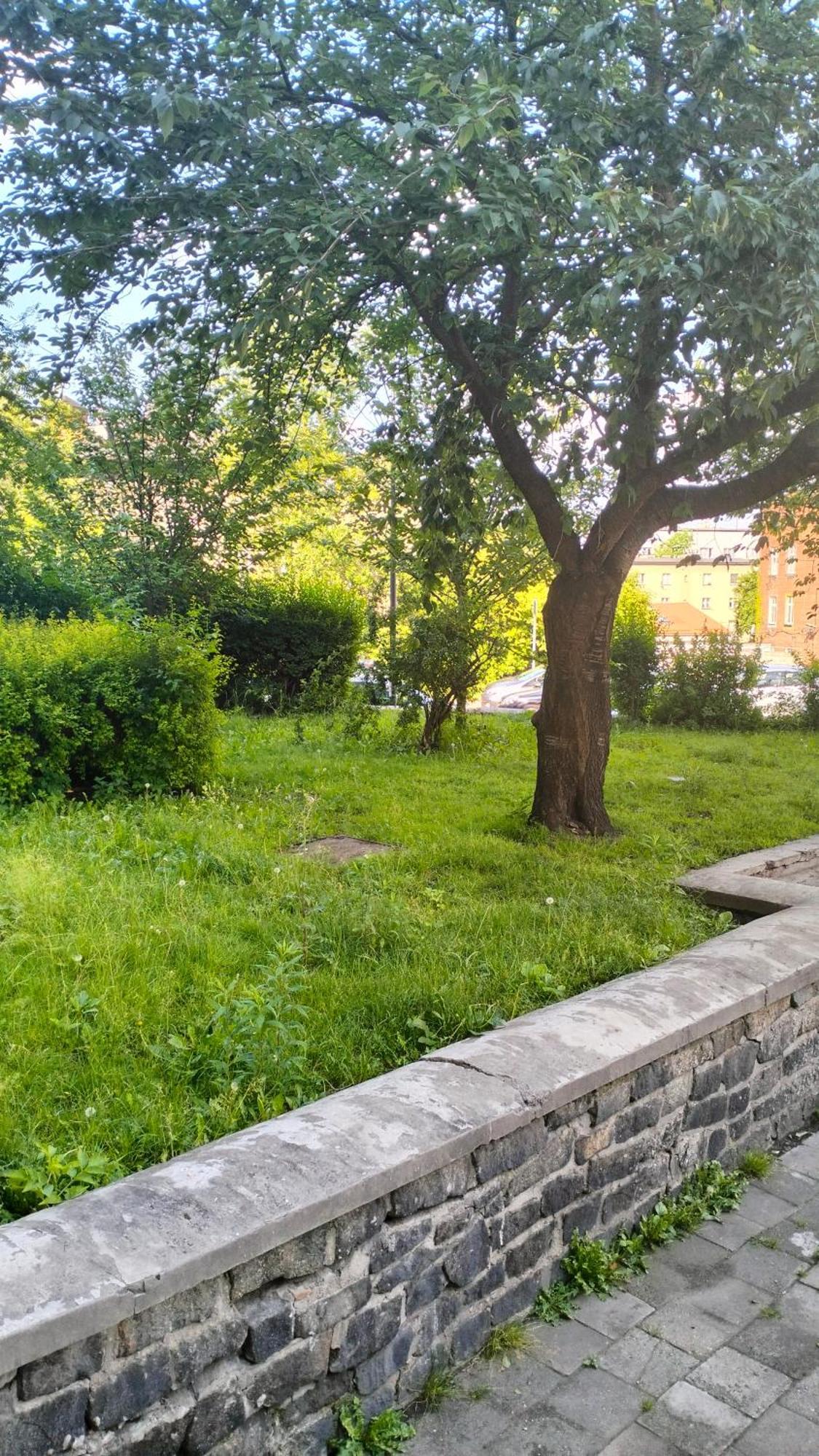 Night Host Krakowska 3 Przy Rynku Free Parking Apartment Bytom Exterior photo